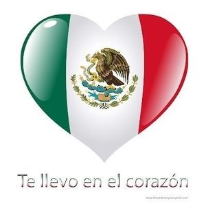 Meet your Posher, Lily